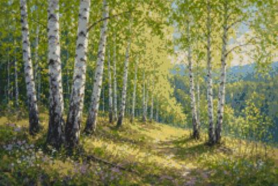 Birches in Summer