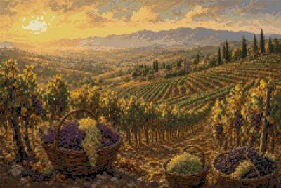 A Vineyard at Harvest