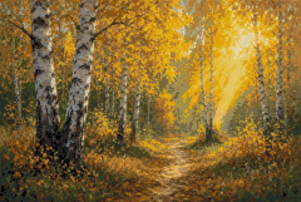 Birches in Autumn