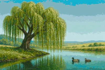 Willow and Ducks