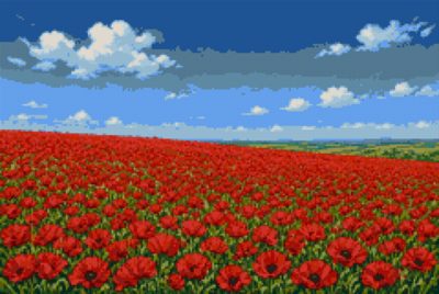 A Field of Poppies