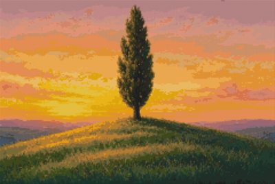 A Cypress on the Hill