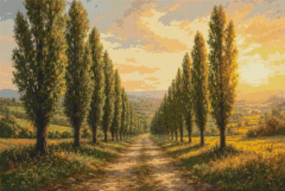 An Avenue of Poplars
