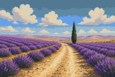 A Road through the Lavender