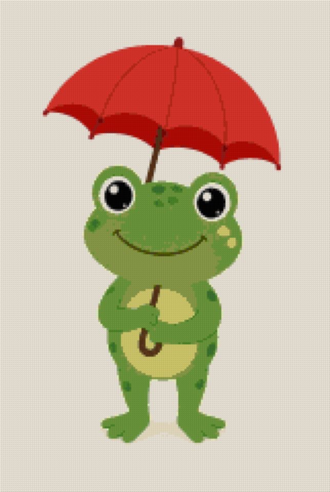 A Frog with an Umbrella