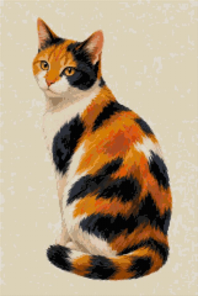 A Calico Cat