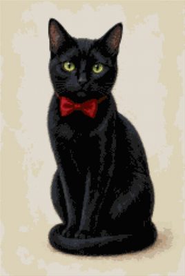 A Black Cat with a Bow Tie