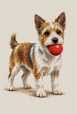 A Terrier with a Ball