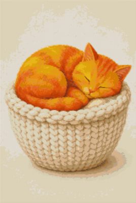 A Sleeping Cat