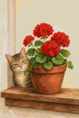 A Cat and a Flowerpot