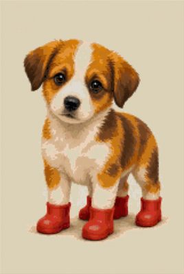 A Puppy in Red Boots