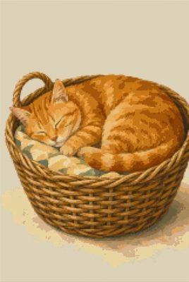 A Cat in a Wicker Basket