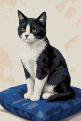A Tuxedo Cat