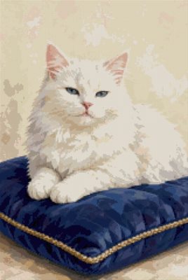 A White Persian Cat
