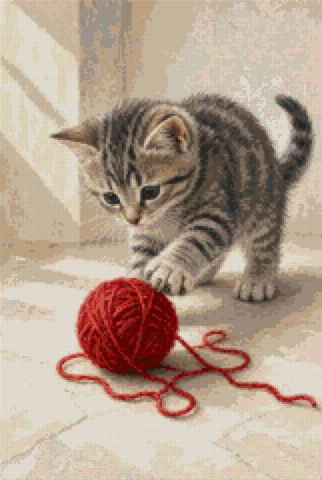 Pisicuță cu ghem