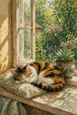 A Calico Cat by the Window