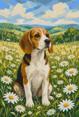 A Beagle in the Meadow