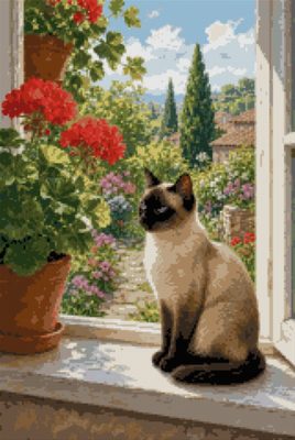 A Siamese on the Windowsill
