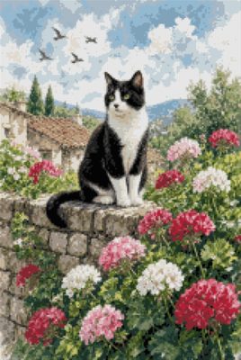 A Cat on the Wall