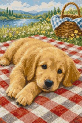 A Retriever Puppy on the Picnic Cloth