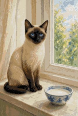 A Siamese by the Window