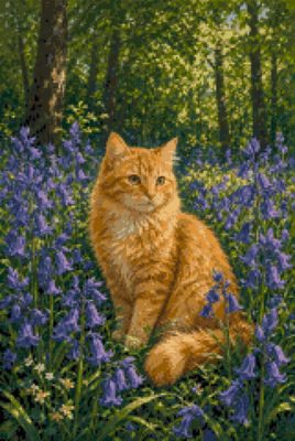 A Cat among the Bluebells