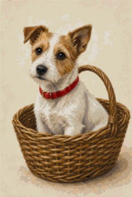 A Terrier in a Basket