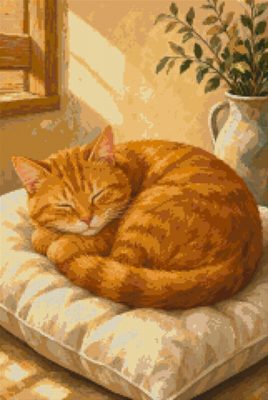 A Tabby on a Cushion