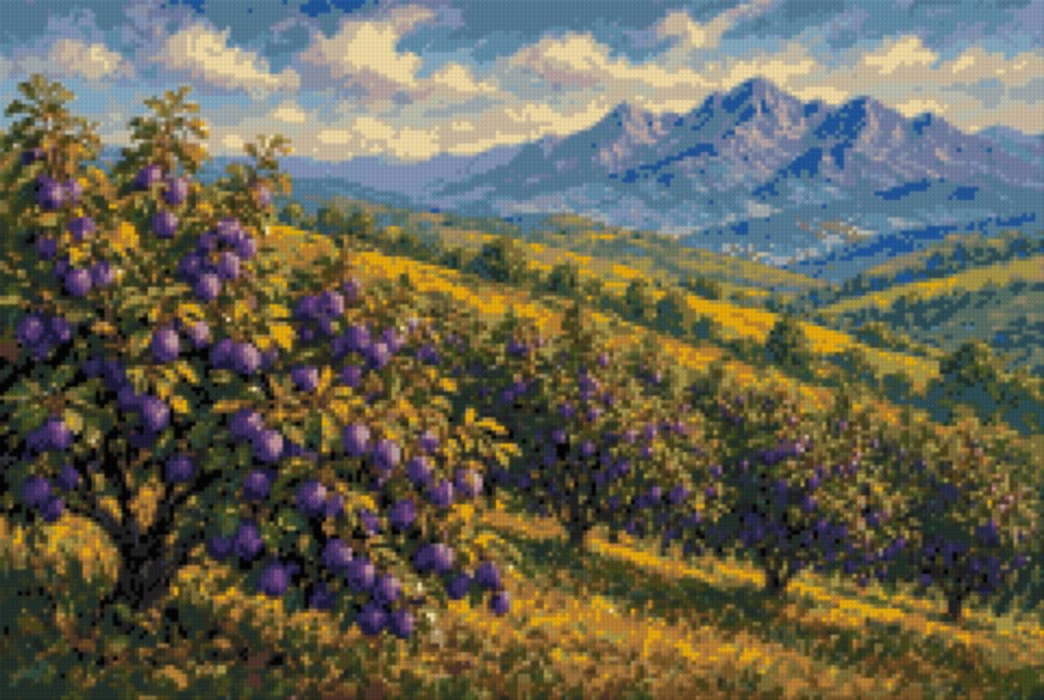 Plum Orchards